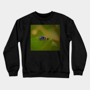 THE NYMPH OF THE FOREST Crewneck Sweatshirt